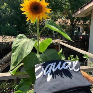 Equal shirts IG: @equallifestylebrand